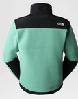 Veste Denali 2 - The North Face
