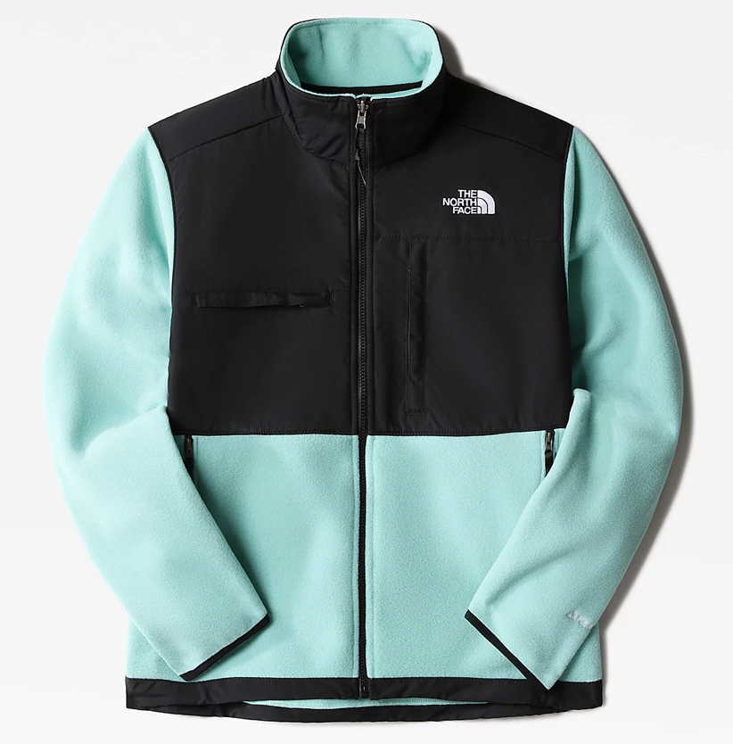 Veste Denali 2 - The North Face