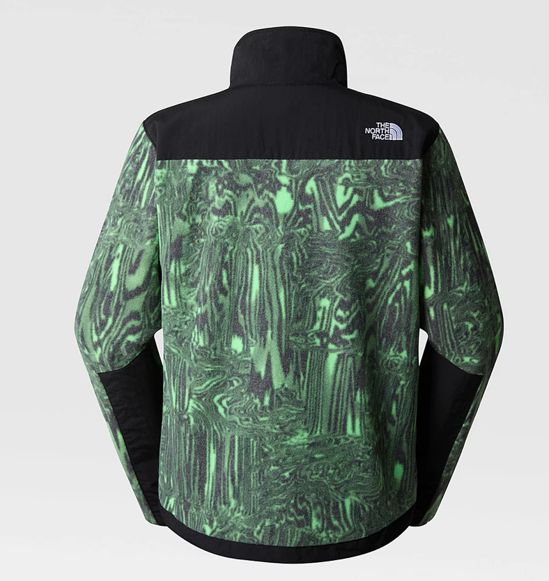 Veste Denali 2 - The North Face