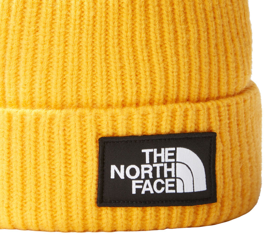 Bonnet à revers Logo box cuffed - The North Face  [3FJX]